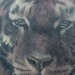 tiny tiger Tattoo Design Thumbnail
